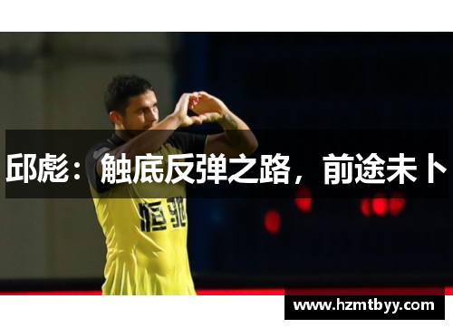 邱彪：触底反弹之路，前途未卜